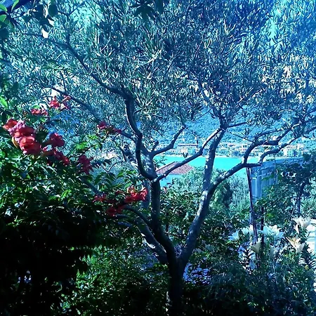 Apartment 3 - Modern With Garden 80m From Vinisce