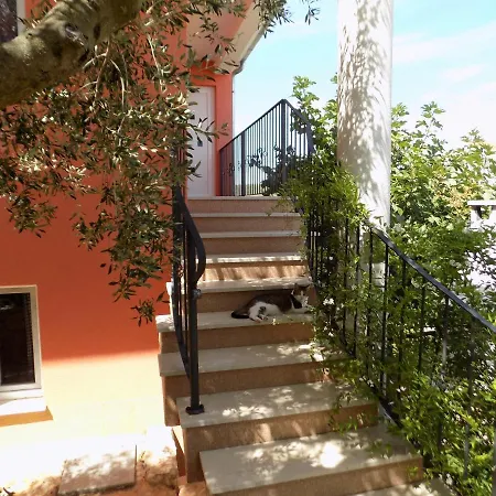 3 - Modern With Garden 80m From Daire