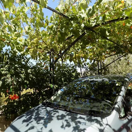3 - Modern With Garden 80m From
