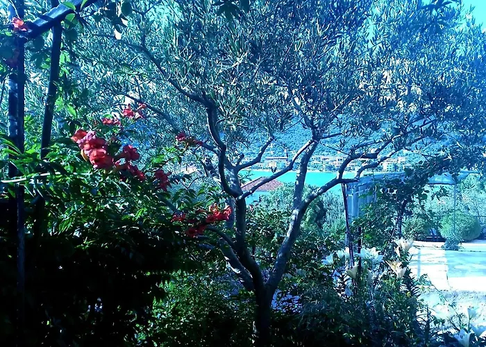 Daire 3 - Modern With Garden 80m From Vinišće