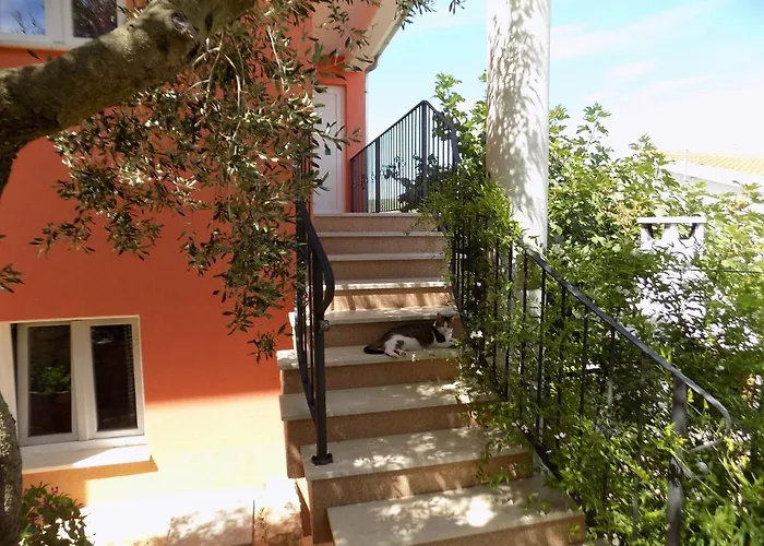 3 - Modern With Garden 80m From Daire