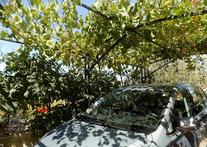 3 - Modern With Garden 80m From